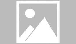 张小斐吃瓜爆料,娱乐圈幕后真相大揭秘