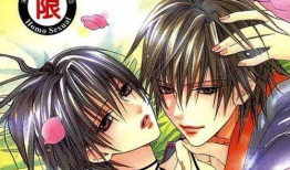 日本动漫bl,日本BL动漫的甜蜜旋律与激情火花